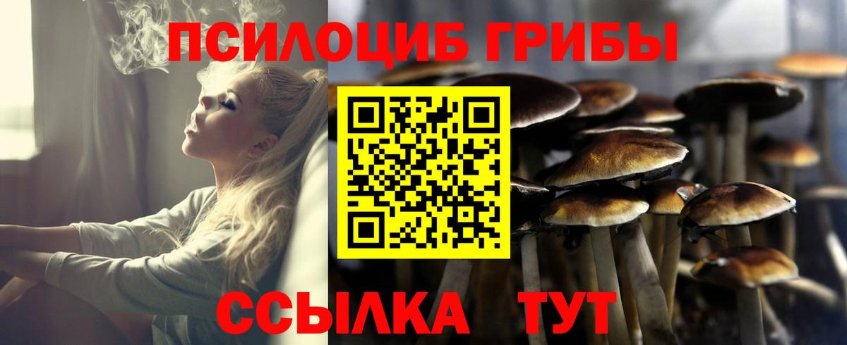 Галлюциногенные грибы мицелий  Псилоцибиновые грибы прущие грибы  Вход с VPN  Зеленогорск 